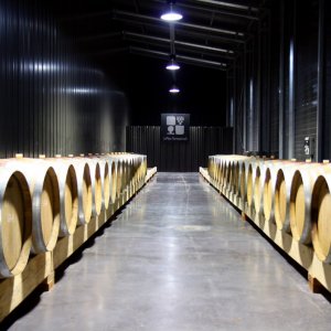 standard vingård